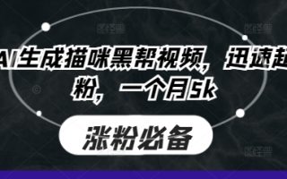 即梦AI生成猫咪黑帮视频，迅速起号涨粉，一个月5k