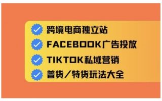 跨境电商独立站及全域流量营销，从0基础快速入门并精通跨境电商运营