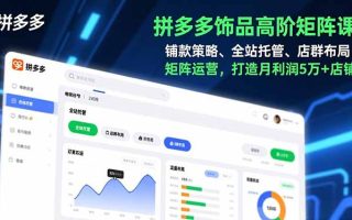 拼多多饰品高阶矩阵课，铺款策略、全站托管、店群布局，矩阵运营，打造月利润5万+店铺