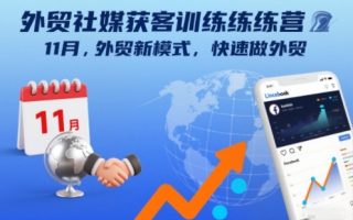 外贸社媒获客训练营11月，外贸新模式，快速做外贸