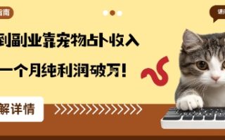 从兴趣到副业靠宠物占卜收入翻3倍一个月纯利润破W