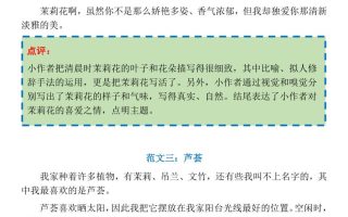 三下语文1-8单元习作作文范文24篇