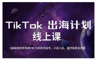 TikTok跨境电商新手起号与运营全攻略，0基础做跨境电商TIKTOK新手起号，小店入驻，操作指南全流程