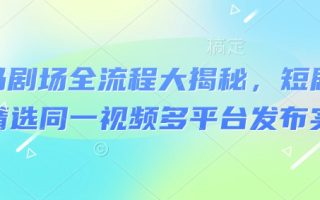 河马剧场全流程大揭秘，短剧爆款精选同一视频多平台发布实操