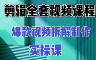 冰糖老师·AI视频制作实操课程(更新11月)