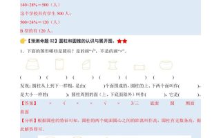 六下数学期中复习·终极压轴版（解析版）苏教版63页