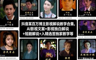 抖音某百万博主影视解说教学合集，AI影视文案+影视独白解说+短剧解说+入精选签独家教学等