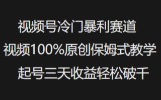 视频号冷门暴利赛道视频100%原创保姆式教学起号三天收益轻松破千
