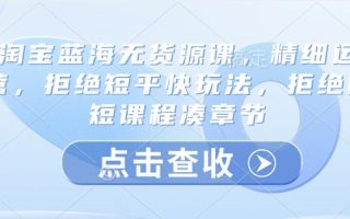 淘宝蓝海无货源课，精细运营，拒绝短平快玩法，拒绝简短课程凑章节