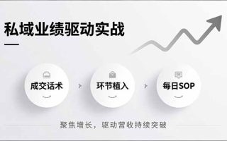 私域业绩驱动实战，成交话术、环节植入、每日SOP，聚焦增长，驱动营收持续突破