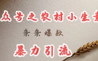 deepseek写农村小项目，条条爆款，暴力引流