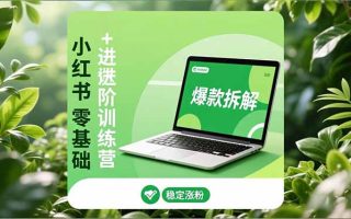 小红书零基础+高阶训练营：安全养号、爆款拆解、长效运营，实现稳定涨粉与变现