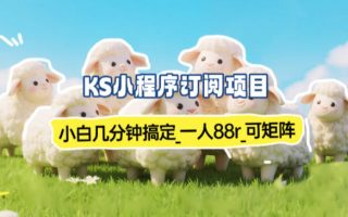 小程序订阅项目_小白几分钟搞定,一人88米,可矩阵(已测到账)