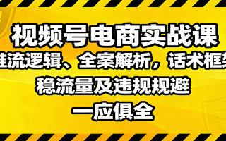 视频号电商实战课：推流逻辑、全案解析，话术框架，稳流量及违规规避等
