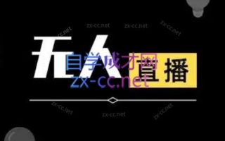 宝子哥·无人直播-非实时防风技术(更新11月)