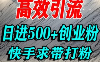怎么打创业粉？快手求带视角精准引流创业粉，宝妈、学生群体日进500+精准流量