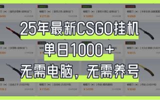 25年最新CSGO挂机系统，单日1000+，无需电脑，无需养号，0基础可上手