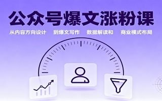 公众号爆文涨粉课：从内容方向设计到爆文写作，数据解读和商业模式布局