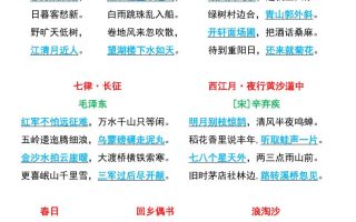 六上语文必背全册重点知识点总结11页