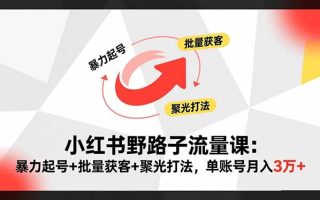 小红书野路子流量课：暴力起号+批量获客+聚光打法，单账号月入3万+