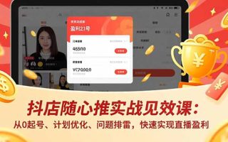 抖店随心推实战见效课：从0起号、计划优化、问题排雷，快速实现直播盈利