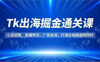 Tk出海掘金通关课，小店运营、直播带货、广告投流，打通全链路盈利闭环