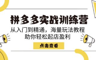 拼多多实战训练营，从入门到精通，海量玩法教程，助你轻松起店盈利