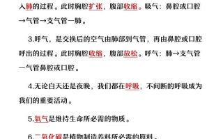 【2025秋新版】四年级上册语文第2单元《呼吸与消化》知识点梳理