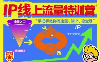 IP线上流量特训营，手把手教你搞流量、做IP、稳变现