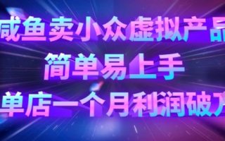 咸鱼卖小众虚拟产品，简单易上手，单店一个月利润破W