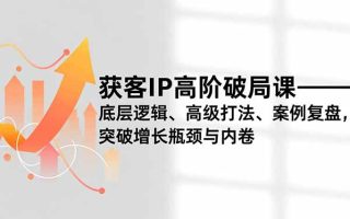 获客IP高阶破局课,底层逻辑、高级打法、案例复盘,突破增长瓶颈与内卷