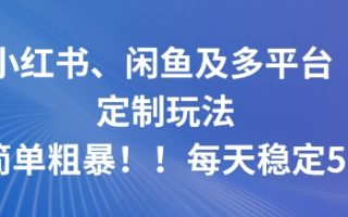 小红书、闲鱼及多平台定制玩法简单粗暴！每天稳定5张