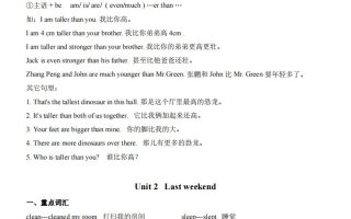 六下人教版PEP英语期末复习知识总结