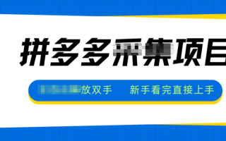 拼多多电商采集，一小时50+，操作简单，零投资