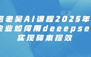 天诺老吴AI课程2025年，电商企业如何用deeepseek实现降本提效