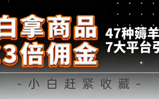 10大平台引流实操教程,白得商品倒赚3倍佣金,47种薅羊毛攻略,管道月入过万