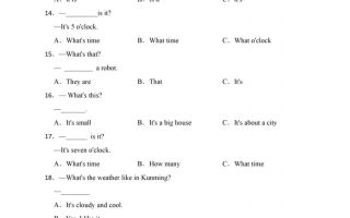 四年级下英语期末疑问句知识点训练《人教PEP版》