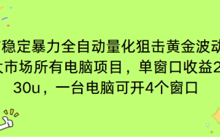 电脑EA策略挂机项目单窗口收益20-30u，单电脑可挂5-10个窗口收益稳健4位数