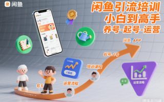闲鱼引流培训，小白到高手，养号-起号-运营