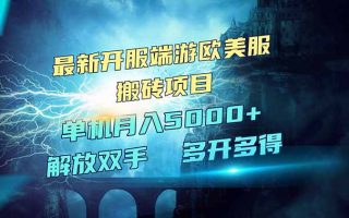 全网热门游戏欧美服端游搬砖，最新开服，项目红利期，单机月入5000+