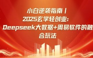 小白逆袭指南，2025玄学轻创业：Deepseek大数据+周易算法的融合玩法