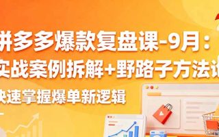 拼多多爆款复盘课-9月：实战案例拆解+野路子方法论，快速掌握爆单新逻辑