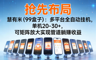 抢先布局慧有米(99盒子)：多平台全自动挂机，单机20-30+，可矩阵实现管道躺赚