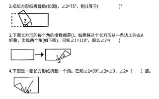 四上数学【折叠图形中的角度问题专项练】