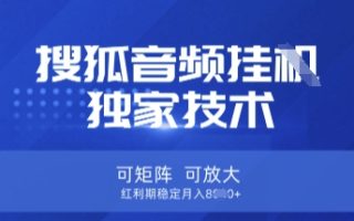 【搜狐音频挂G】独家技术，可矩阵可放大，红利期稳定月入8k【揭秘】
