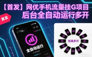 【首发】网优手机流量挂G项目,后台全自动运行,可无限批量多开【揭秘】