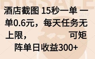 酒店截图 15秒一单 一单0.6元，每天任务无上限，可矩阵单日收益300+
