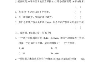 六下数学名校期末测试卷（06）含答案人教版