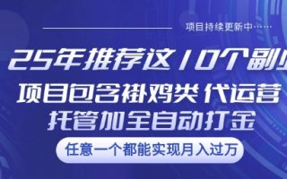 25年推荐这10个副业项目包含褂鸡类、代运营托管类、全自动打金类【揭秘】