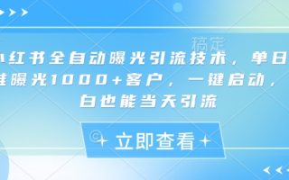小红书全自动曝光引流技术，单日精准曝光1000+客户，一键启动，小白也能当天引流【揭秘】